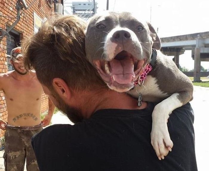 This Man And Dog Have An Incredible Bond (4 pics)