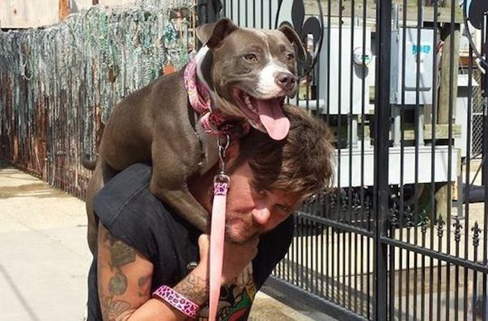 This Man And Dog Have An Incredible Bond (4 pics)