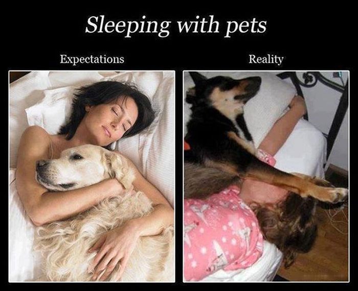 The Truth About Expectations Vs. Reality (33 pics)