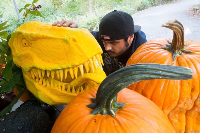 Giant Pumpkin Gets Transformed Into A T-Rex Head (8 pics)