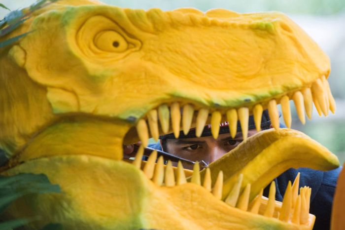 Giant Pumpkin Gets Transformed Into A T-Rex Head (8 pics)