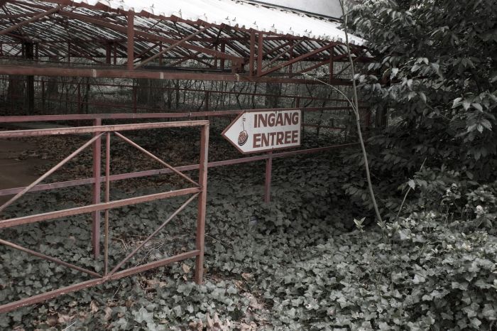 Haunting Photos Of An Abandoned Park (22 pics)