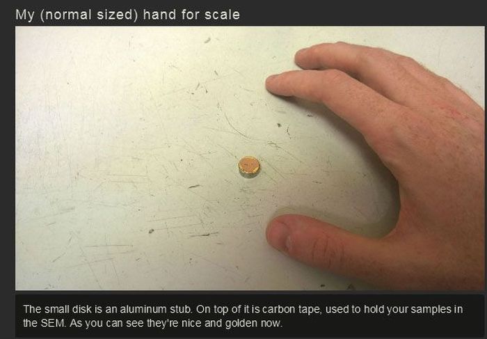 You Won't Believe What This Person Found On Their Foot (17 pics)
