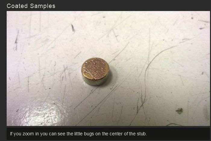 You Won't Believe What This Person Found On Their Foot (17 pics)