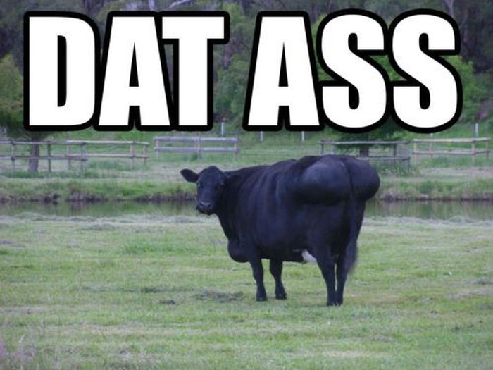 Dirty Humor. Part 8 (40 pics)