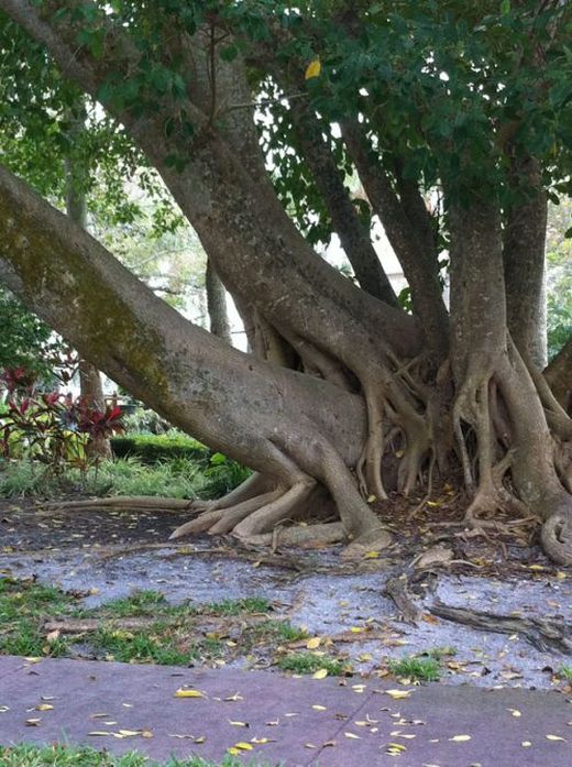 Dirty Humor. Part 8 (40 pics)