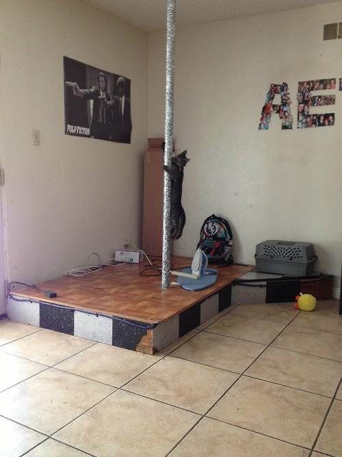 Dirty Humor. Part 8 (40 pics)