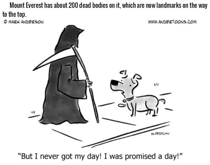 Morbid And Depressing Facts About Death (18 pics)