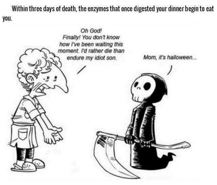Morbid And Depressing Facts About Death (18 pics)