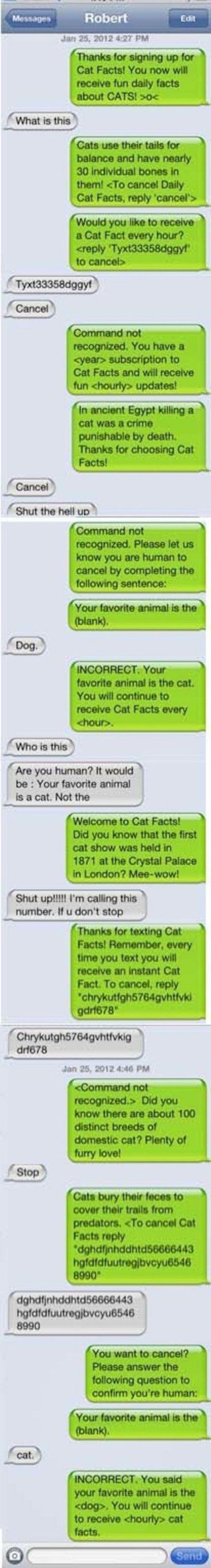 Somebody Stop These People From Texting Right Away (38 pics)