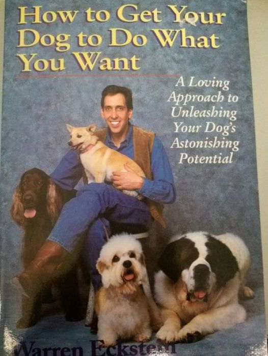 Bad Book Covers That Are Just As Terrible As Their Titles (56 pics)