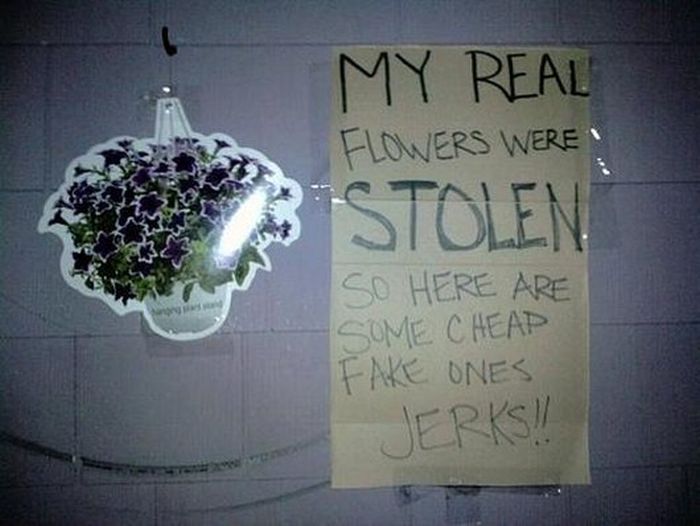 How To Deal With A Thief (20 pics)