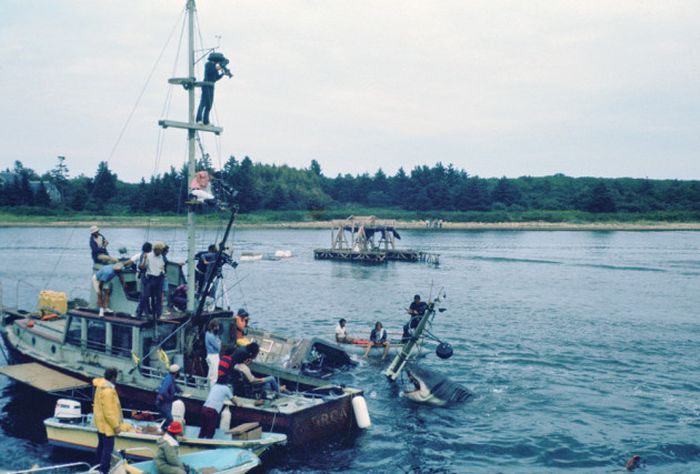 Get A Look Behind The Scenes Of Jaws With These Rare Photos (7 pics)