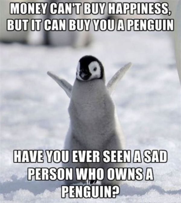 Your Daily Dose Of Truth (43 pics)