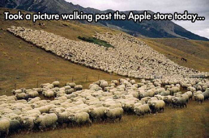 Your Daily Dose Of Truth (43 pics)