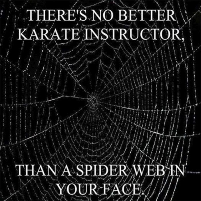 Your Daily Dose Of Truth (43 pics)