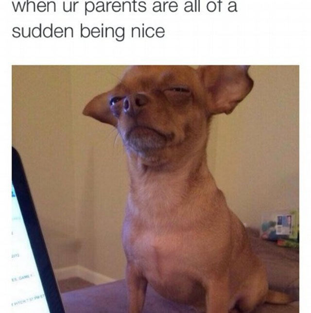 Your Daily Dose Of Truth (43 pics)