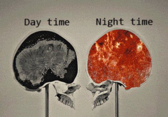 Your Daily Dose Of Truth (43 pics)