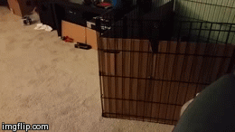 Acid Gifdump, October 06, 2014 (25 gifs)