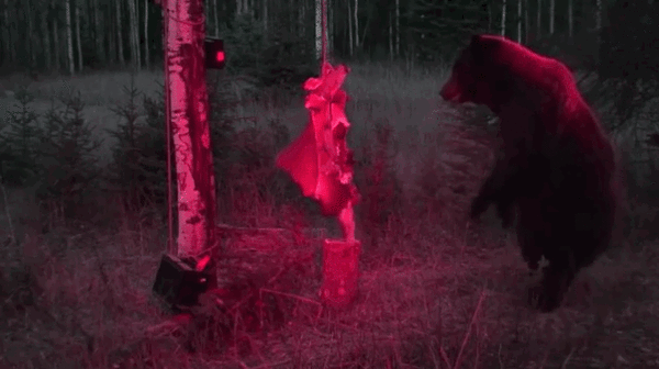 Acid Gifdump, October 06, 2014 (25 gifs)