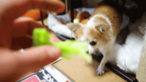 Acid Gifdump, October 06, 2014 (25 gifs)