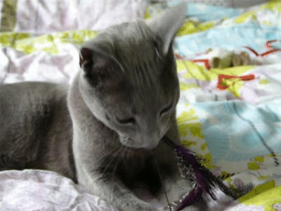 Acid Gifdump, October 06, 2014 (25 gifs)