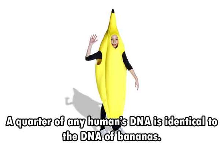 These Are The Funnest Facts You Will Learn Today (24 pics)