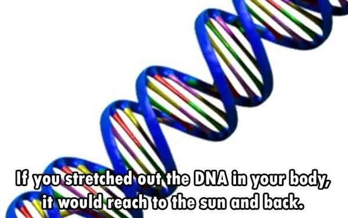 These Are The Funnest Facts You Will Learn Today (24 pics)