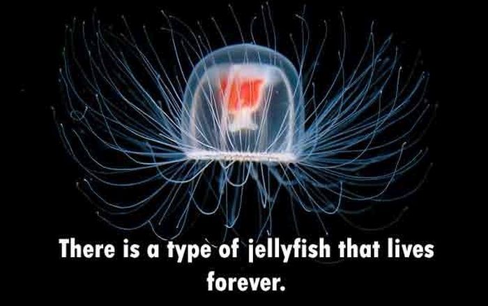 These Are The Funnest Facts You Will Learn Today (24 pics)