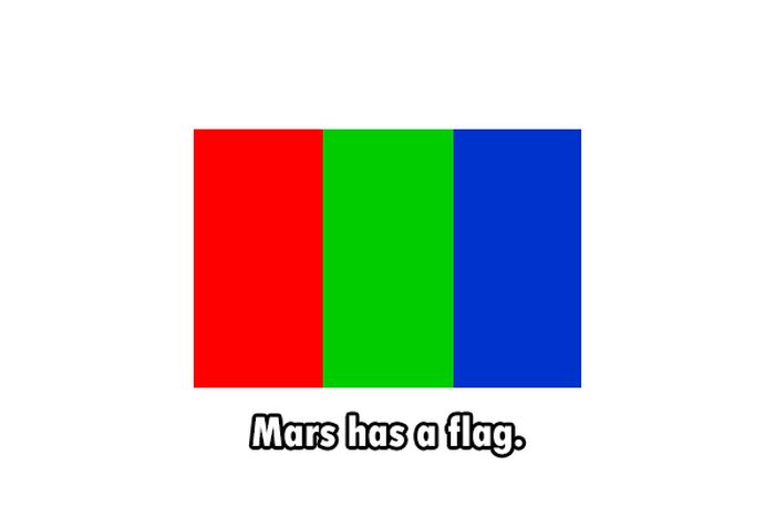 These Are The Funnest Facts You Will Learn Today (24 pics)