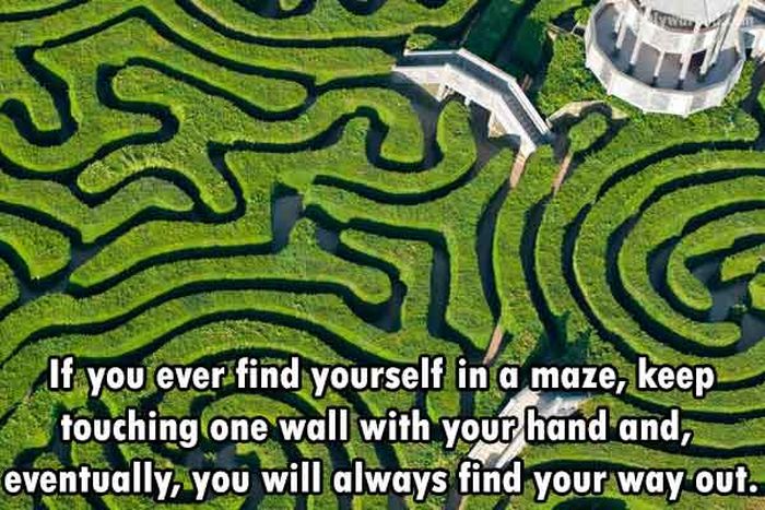 These Are The Funnest Facts You Will Learn Today (24 pics)