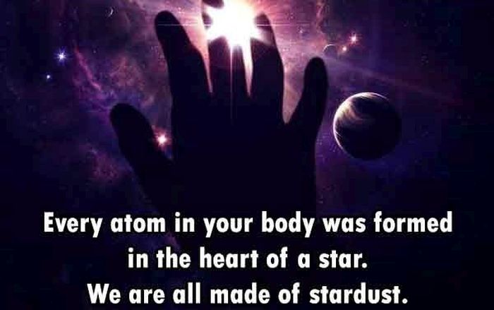 These Are The Funnest Facts You Will Learn Today (24 pics)