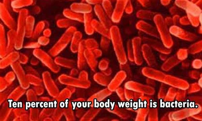These Are The Funnest Facts You Will Learn Today (24 pics)