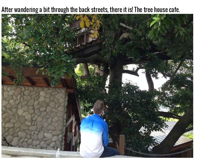 This Tree House Cafe Is The Perfect Spot To Relax (27 pics)