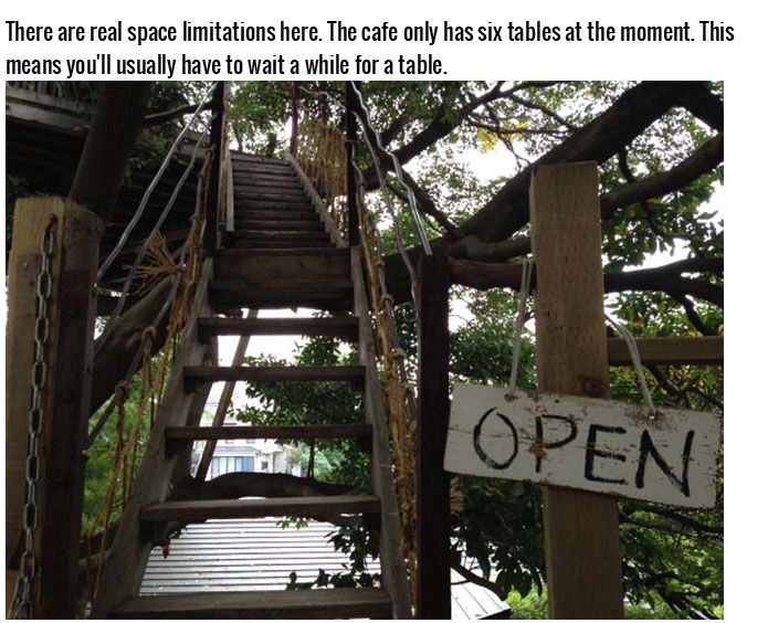 This Tree House Cafe Is The Perfect Spot To Relax (27 pics)