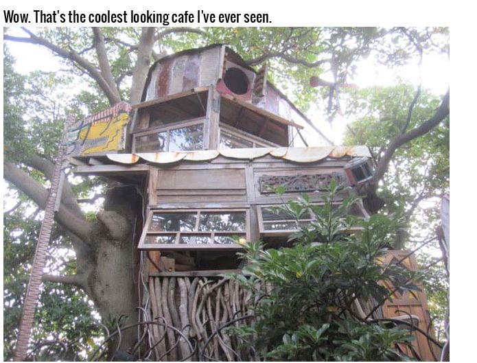 This Tree House Cafe Is The Perfect Spot To Relax (27 pics)