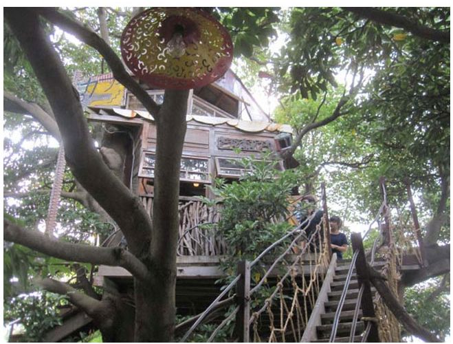 This Tree House Cafe Is The Perfect Spot To Relax (27 pics)