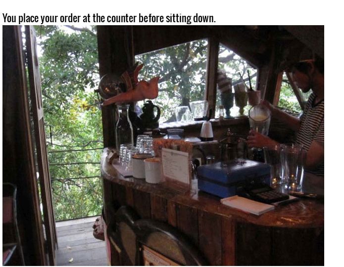 This Tree House Cafe Is The Perfect Spot To Relax (27 pics)