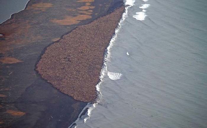 This Is No Ordinary Beach (6 pics)