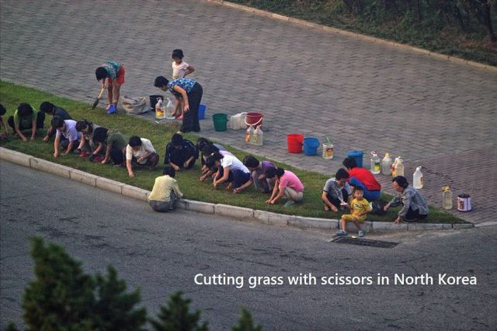 Acid Picdump (118 pics)