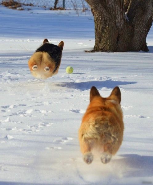 Acid Picdump (118 pics)