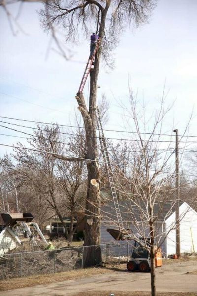 Acid Picdump (118 pics)