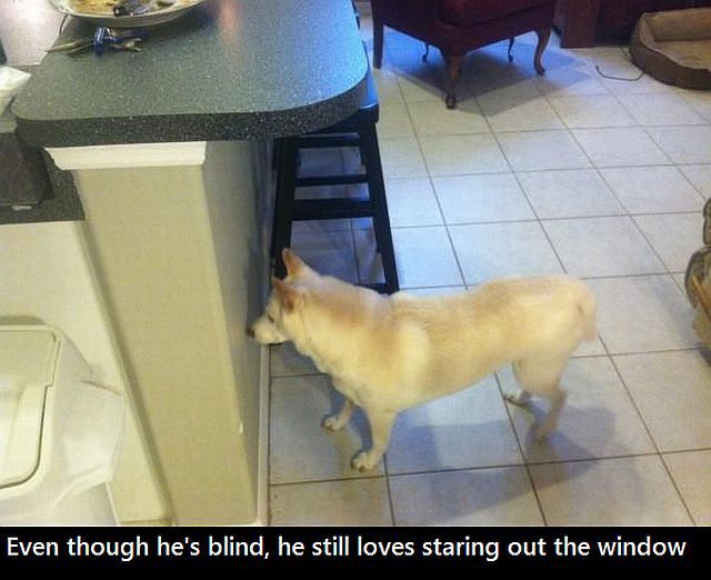 Acid Picdump (118 pics)