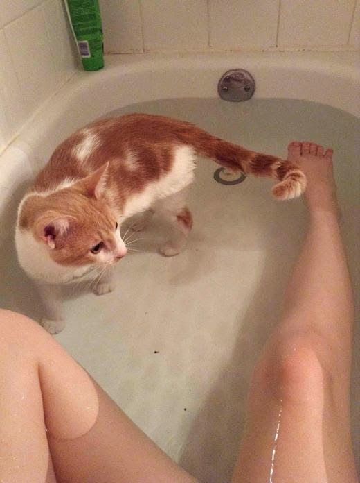 Acid Picdump (124 pics)