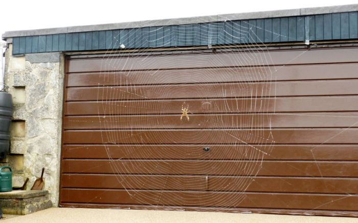 Acid Picdump (124 pics)