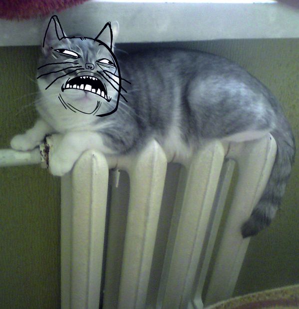Acid Picdump (124 pics)