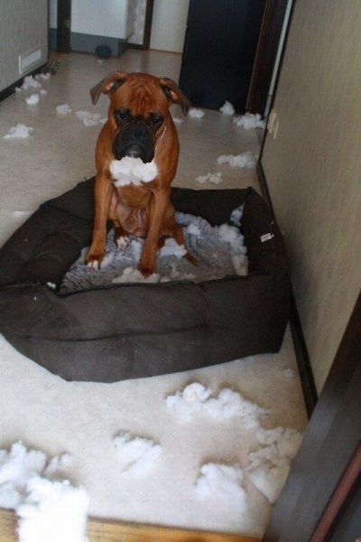 Acid Picdump (124 pics)