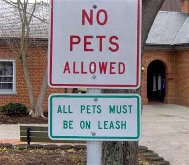 The Only Thing These Signs Do Is Confuse People (33 pics)