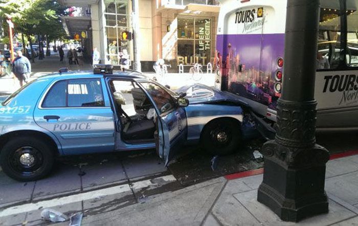 Collection of Fails. Part 46 (43 pics)