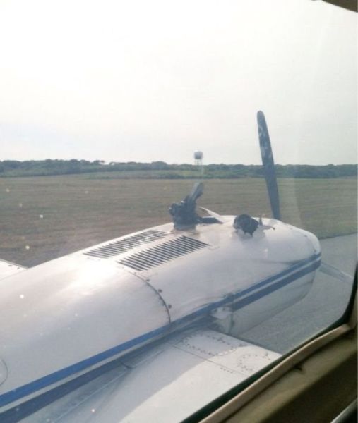 Collection of Fails. Part 46 (43 pics)